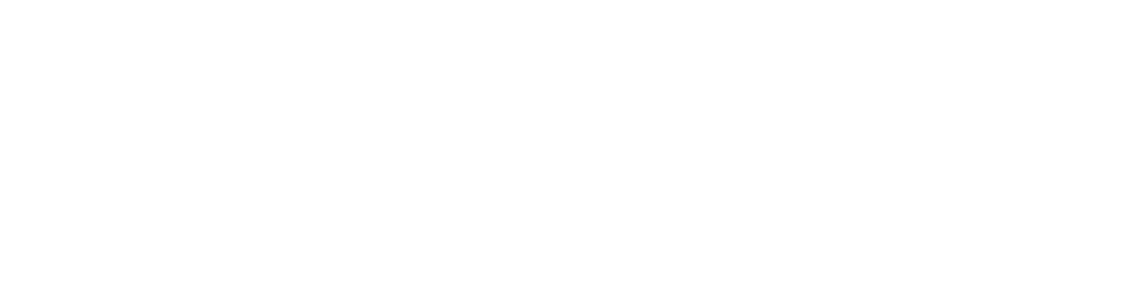 ES Financiado por la Union Europea RGB WHITE Outline 1024x268 1.png